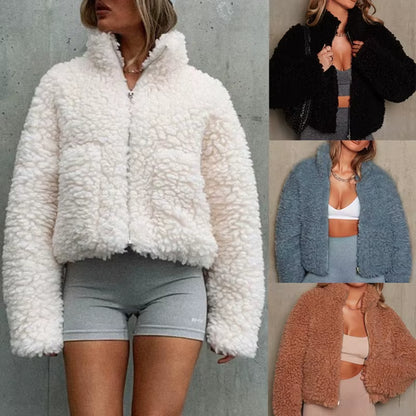 Autumn Winter Faux Fur Coat Women 2026 Casual Warm Soft Zipper Fur Short Jacket Plush Overcoat Pocket Teddy Coat Female Jacket