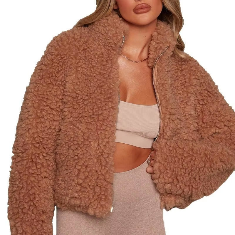 Autumn Winter Faux Fur Coat Women 2026 Casual Warm Soft Zipper Fur Short Jacket Plush Overcoat Pocket Teddy Coat Female Jacket