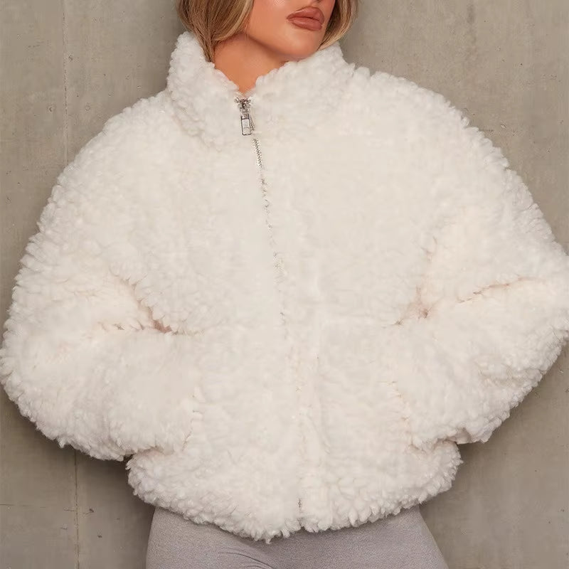 Autumn Winter Faux Fur Coat Women 2026 Casual Warm Soft Zipper Fur Short Jacket Plush Overcoat Pocket Teddy Coat Female Jacket